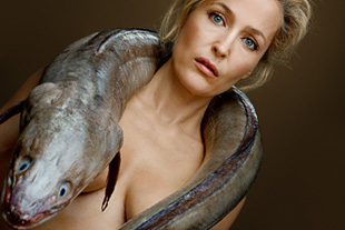 Forrás: Fishlove/Denis Rouvre Forrás: Fishlove/Denis Rouvre