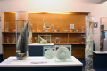 Forrás: Icelandic Phallological Museum Forrás: Icelandic Phallological Museum