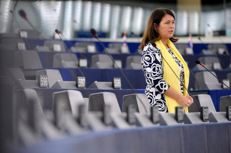 Forrás: MTI/Európai Parlament/Christian Creutz