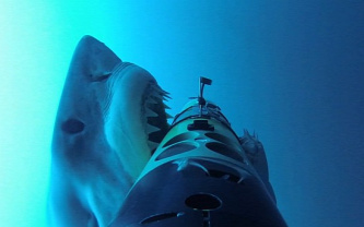 Forrás: bigblue.postr.hu