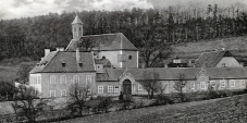 Forrás: Wikimedia Commons