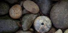 Forrás: Runcible