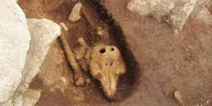 Forrás: Guernsey Archaeology/YouTube